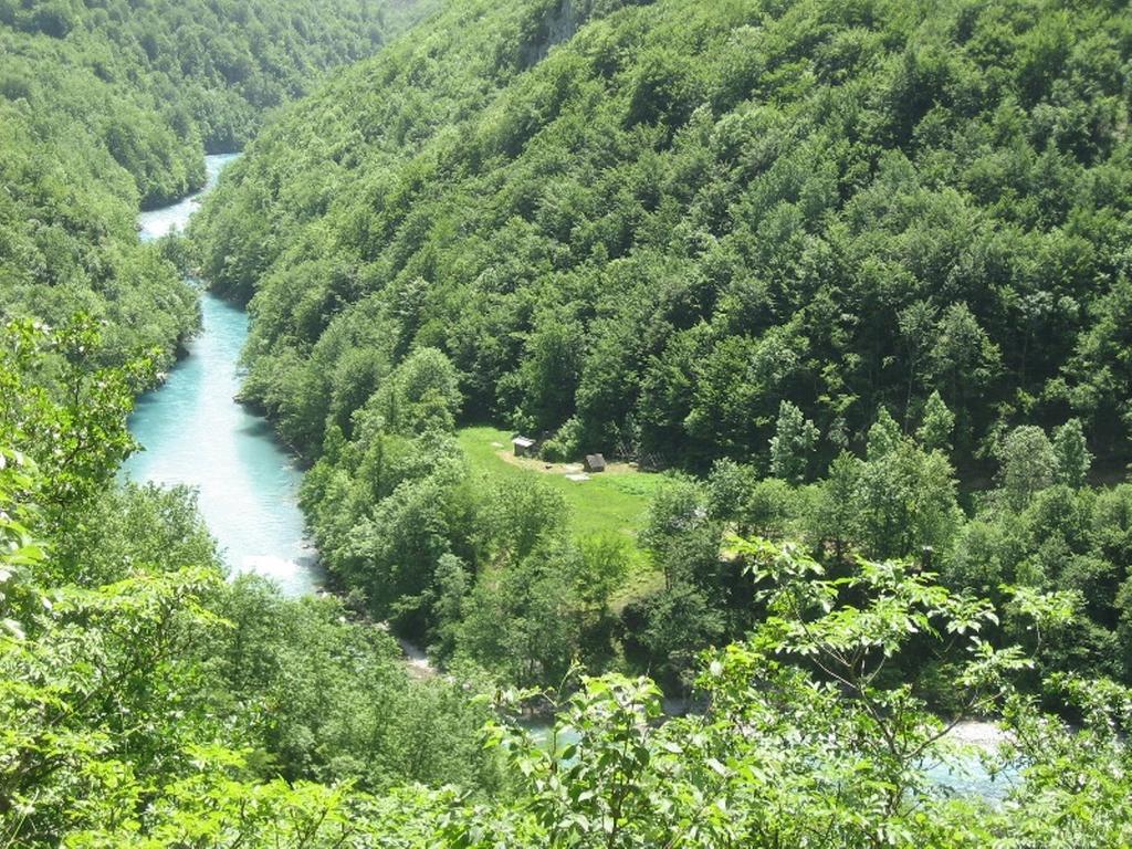 Tara Bridge Castle 호텔 자블야크 객실 사진